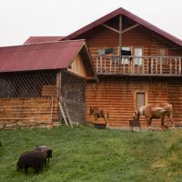 Минсельхоз планирует ужесточить условия Сельской ипотеки